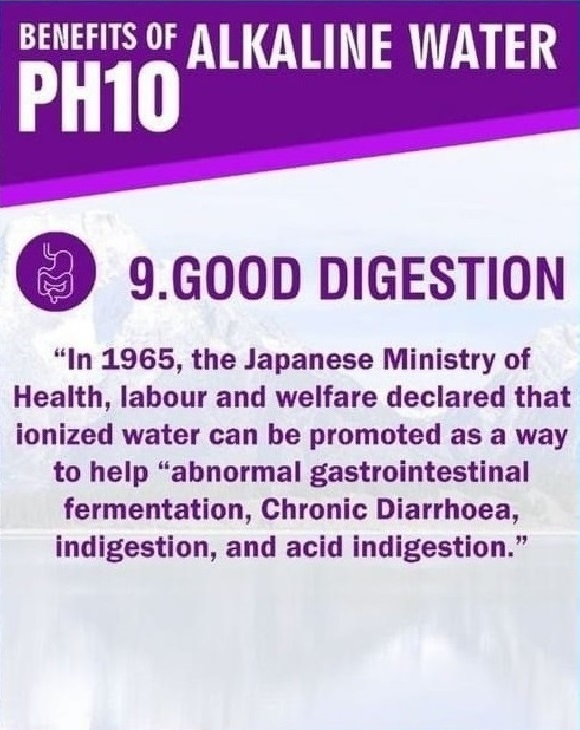 9-good-digestion_580x730